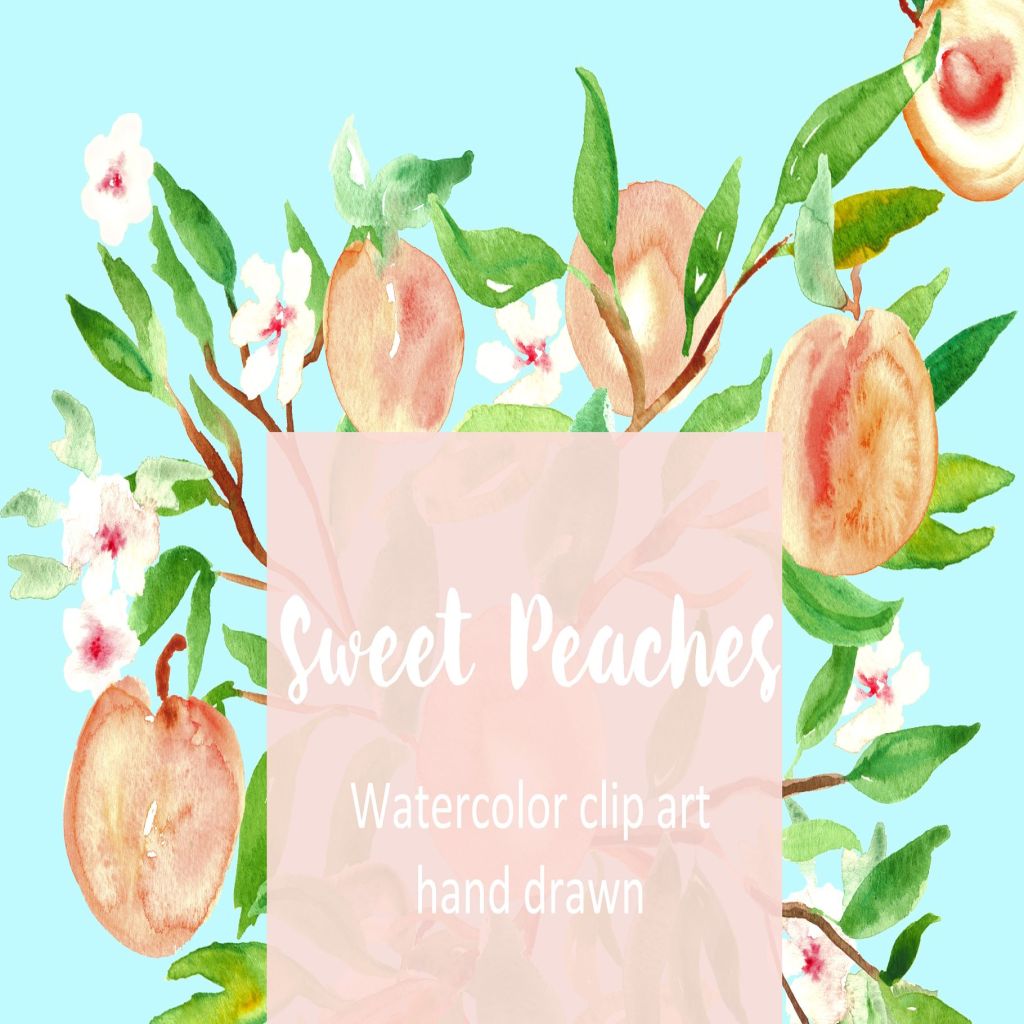 水蜜桃水彩剪贴画 peach. watercolor clipart.