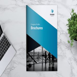 多元化大型公司简介企业画册设计模板 DIVERSE Professional Company Profile Brochures
