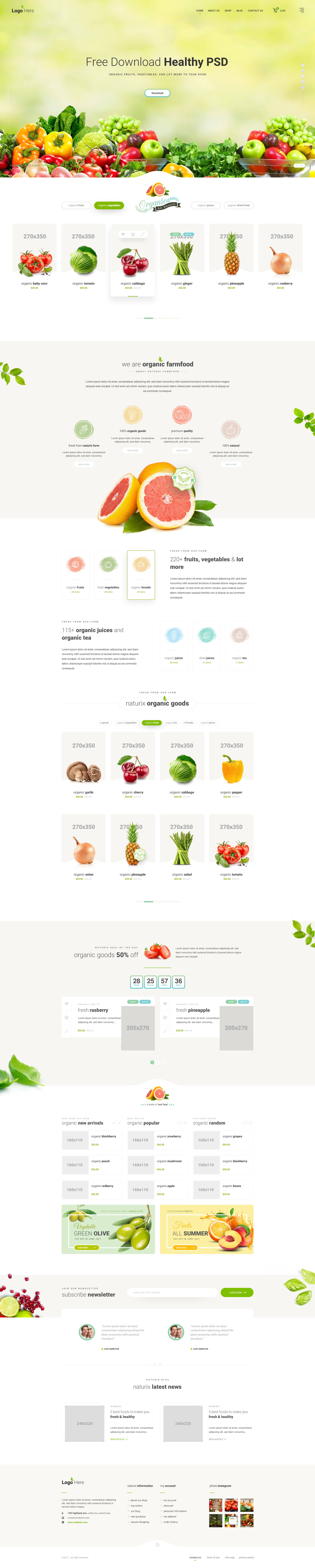 一个优雅的健康食品网站模板 Healthy Food Website Template