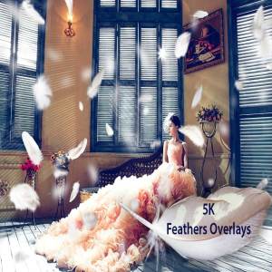 5K高清分辨率羽毛叠层背景 5K Feathers Overlays