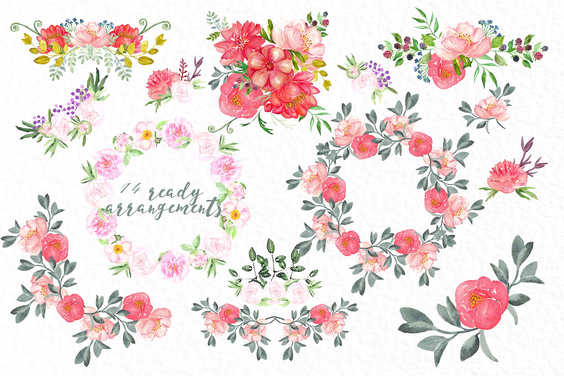 牡丹水彩花卉剪贴画 Peonies big collection  clip art.