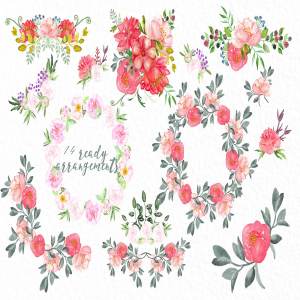 牡丹水彩花卉剪贴画 Peonies big collection  clip art.