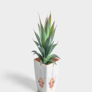 花盆外观图案设计样机模板 Flower Pot Mockup