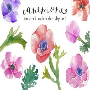 水彩银莲花剪贴画 Watercolor Anemones Clip Art