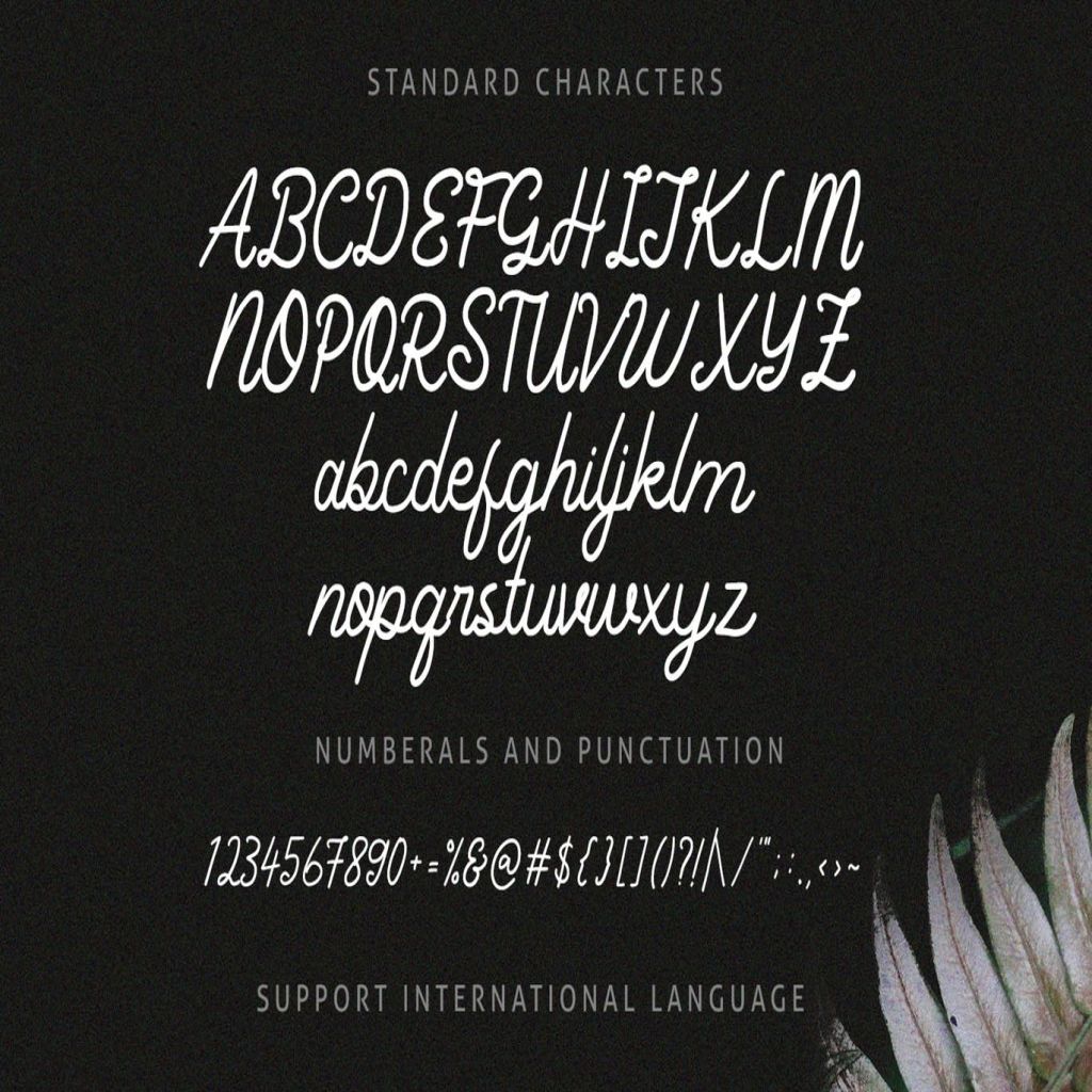 %title插图%num