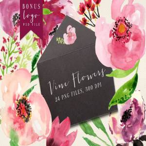 手绘水彩花卉植物图形元素 Vine Flowers