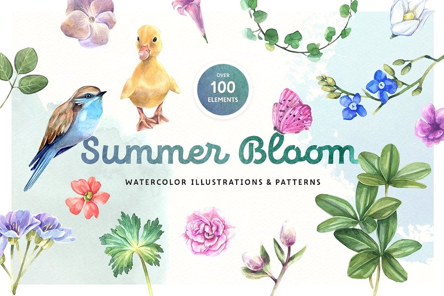 夏日水彩植物动物矢量图形+水彩花卉纹理 Summer Watercolor Motives Set
