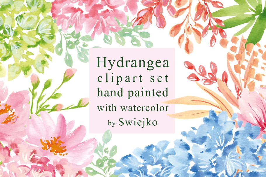 八仙花绣球花剪贴画 Hydrangea clipart set