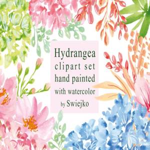 八仙花绣球花剪贴画 Hydrangea clipart set