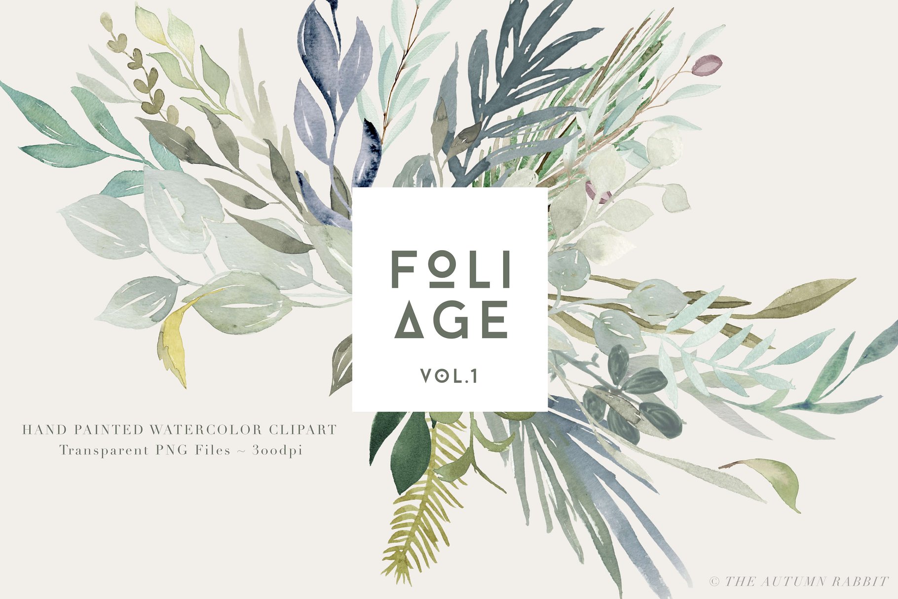 水彩植物叶子树叶插画 Foliage – Watercolor Leaves