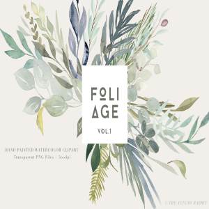 水彩植物叶子树叶插画 Foliage – Watercolor Leaves