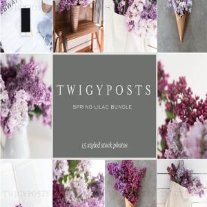 春天丁香花场景样机 Spring Lilac Stock Photos