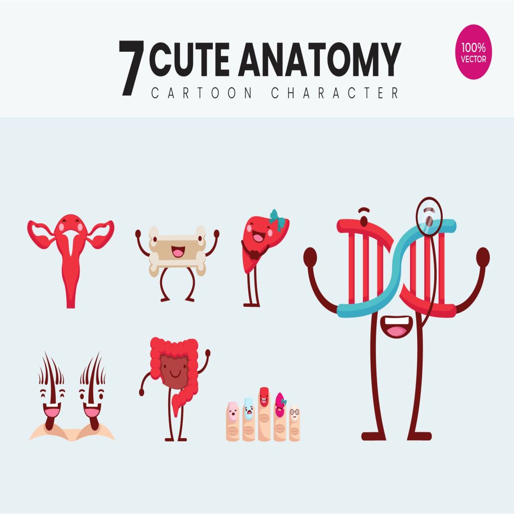 7个人体解剖图卡通形象矢量插画v3 7 Cute Human Anatomy Vector Illustration Vol.3插图