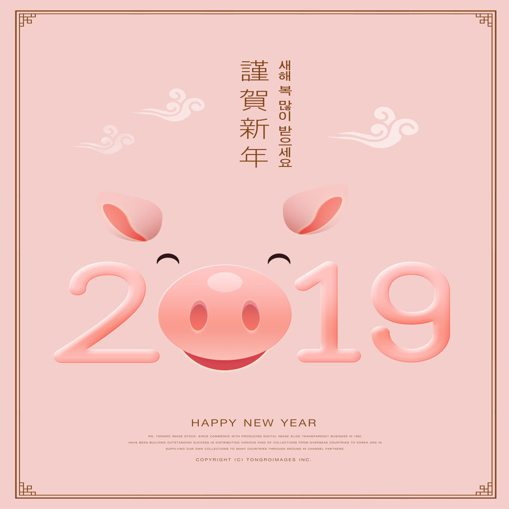 2019猪年创意图形与数字海报模板合集 PSD