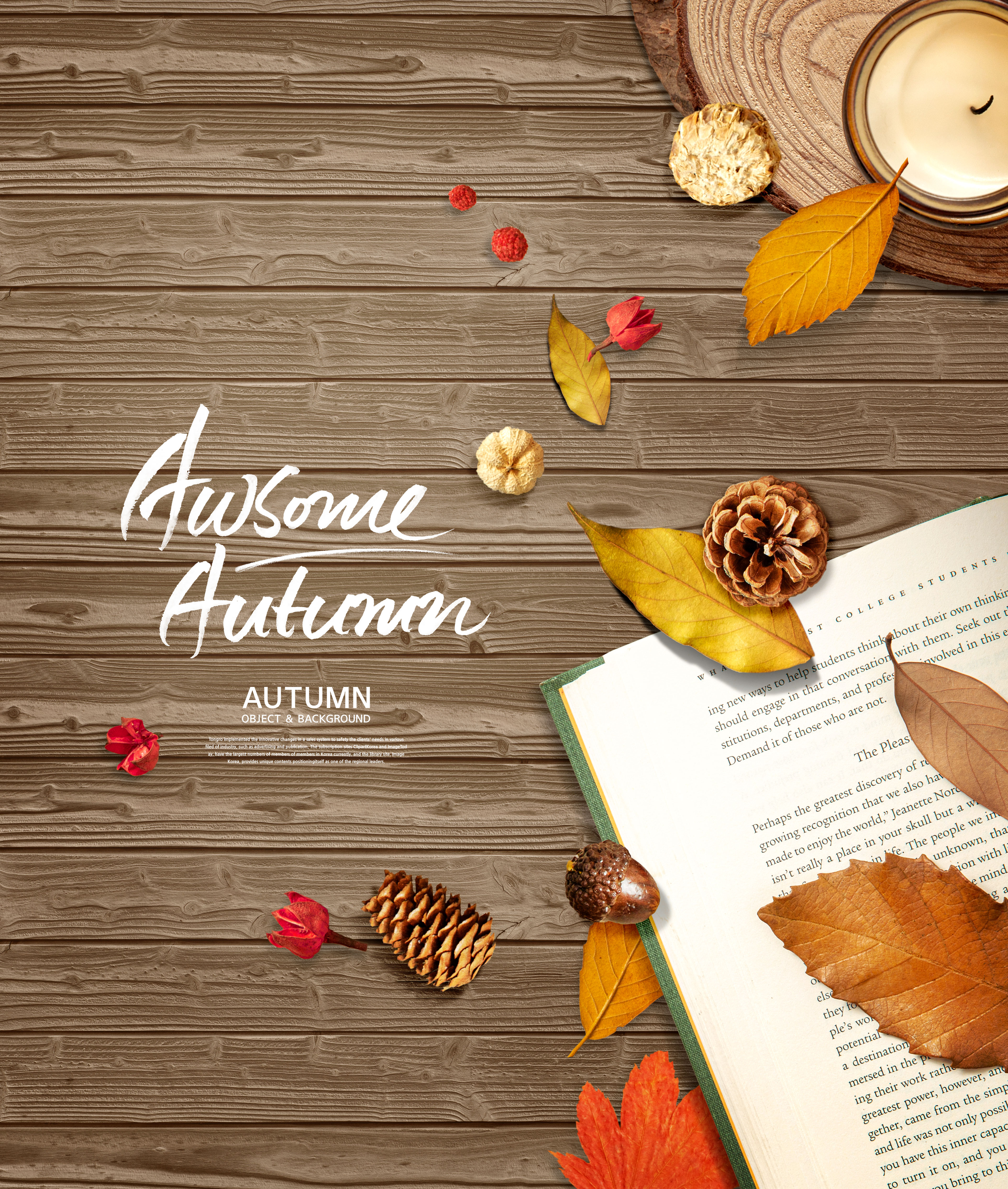 秋天元素&木纹背景海报图片psd素材