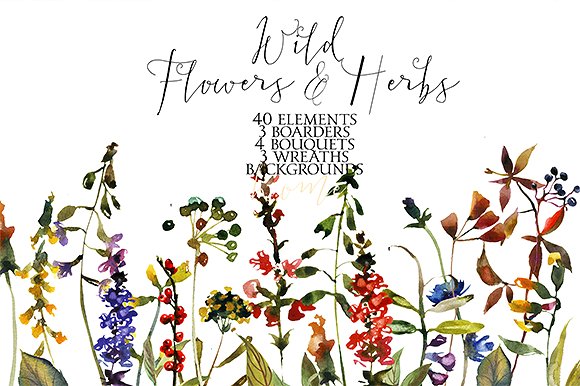 野花草本水彩套装 Wild Flowers & Herbs Watercolor Set