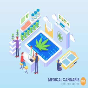 医学大麻应用场景2.5D矢量等距概念插画 Isometric Medical Cannabis Vector Concept