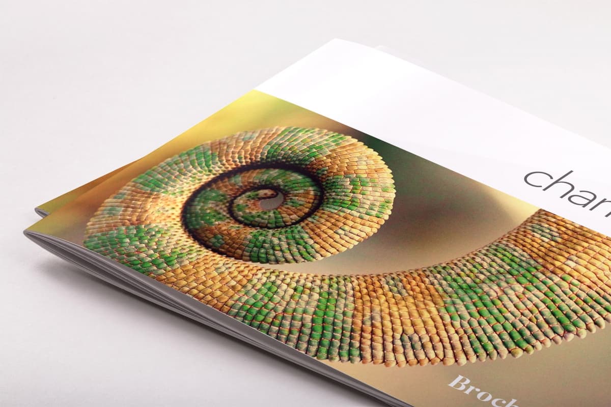 宣传小册子排版设计模板 Chameleon Free InDesign Brochure Template