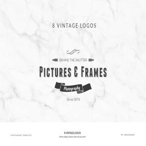 8款复古设计风格品牌Logo商标设计模板 8 Vintage Logos插图1