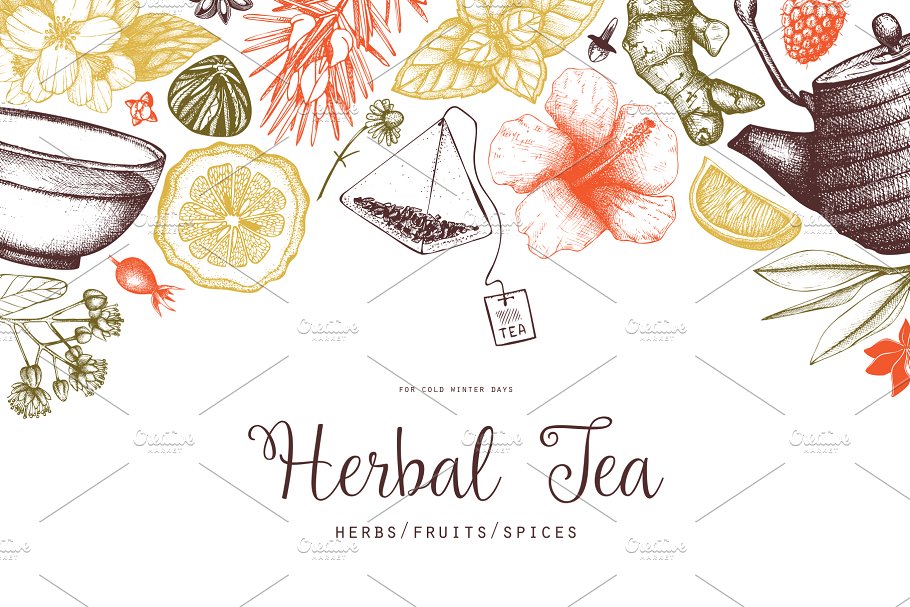 各种茶成分茶元素矢量 Vector Tea Ingredients Collection