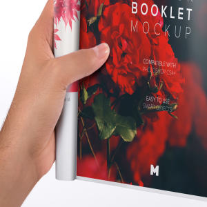 信纸规格小册子单页设计图样机 Letter Booklet Single Page Mockup