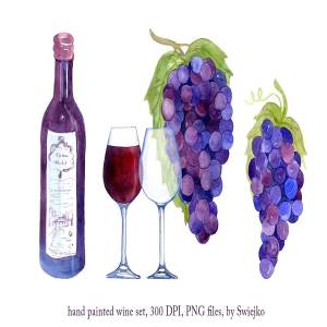 水彩葡萄&葡萄酒矢量剪贴画 Watercolor Wine, Grapes