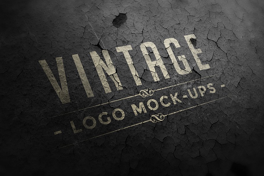 复古怀旧风格Logo样机 Vintage Logo Mock-ups