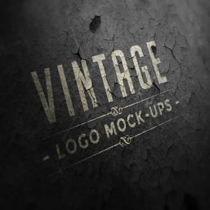 复古怀旧风格Logo样机 Vintage Logo Mock-ups