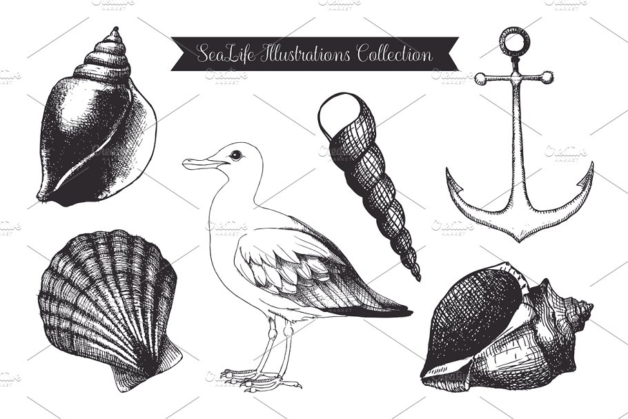复古墨水手绘海洋生物插图 Vintage Sea Designs & Patterns