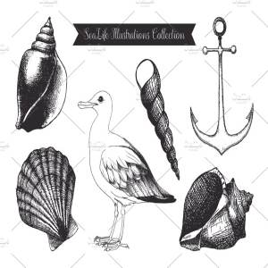 复古墨水手绘海洋生物插图 Vintage Sea Designs & Patterns