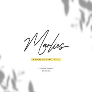 Monoline风格英文钢笔签名字体 Marlies Monoline Signature