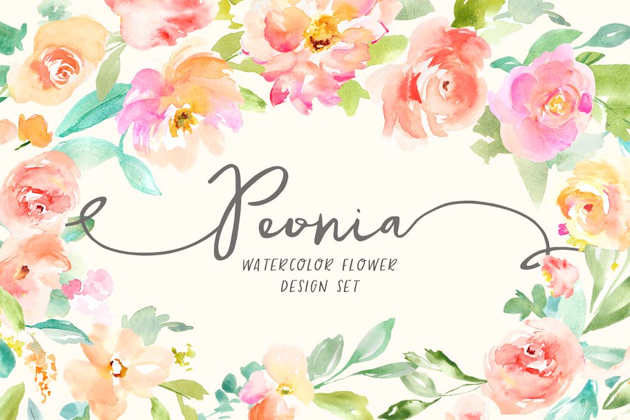 水彩花卉插画素材套装 Peonia Watercolor Flowers Set