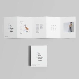 5折方形手风琴折叠式宣传册设计效果图样机 5 Fold Square Accordion Brochure Mockup