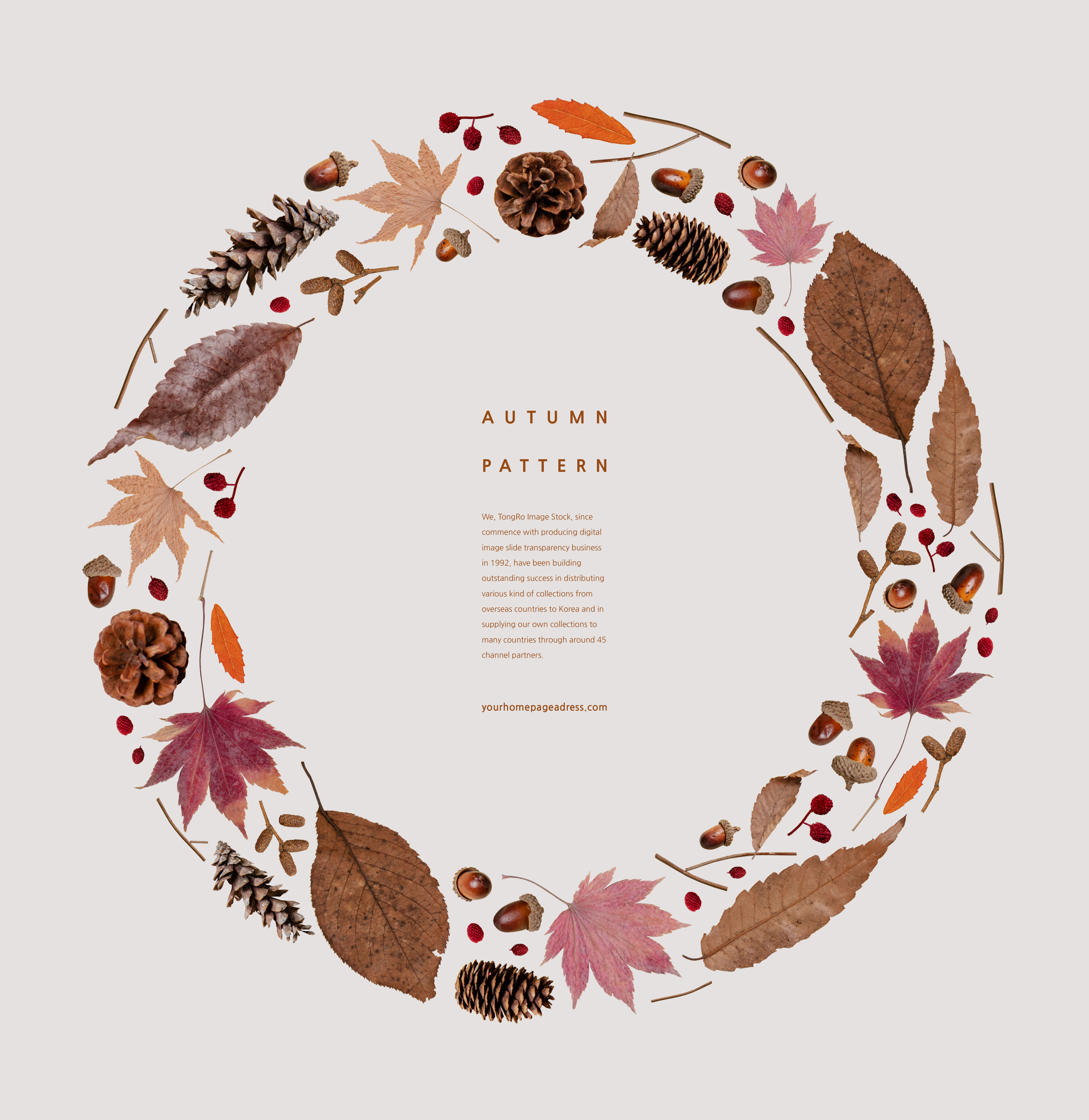 秋季叶子&野果图案背景psd素材