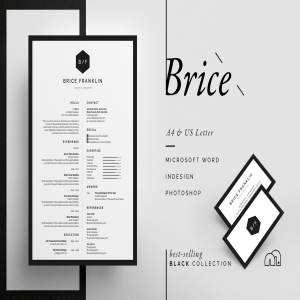 居中垂直排版风格个人简历模板 Brice – Resume/CV