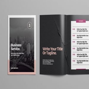 懒人设计师必备企业画册设计INDD模板 Business Brochure Template