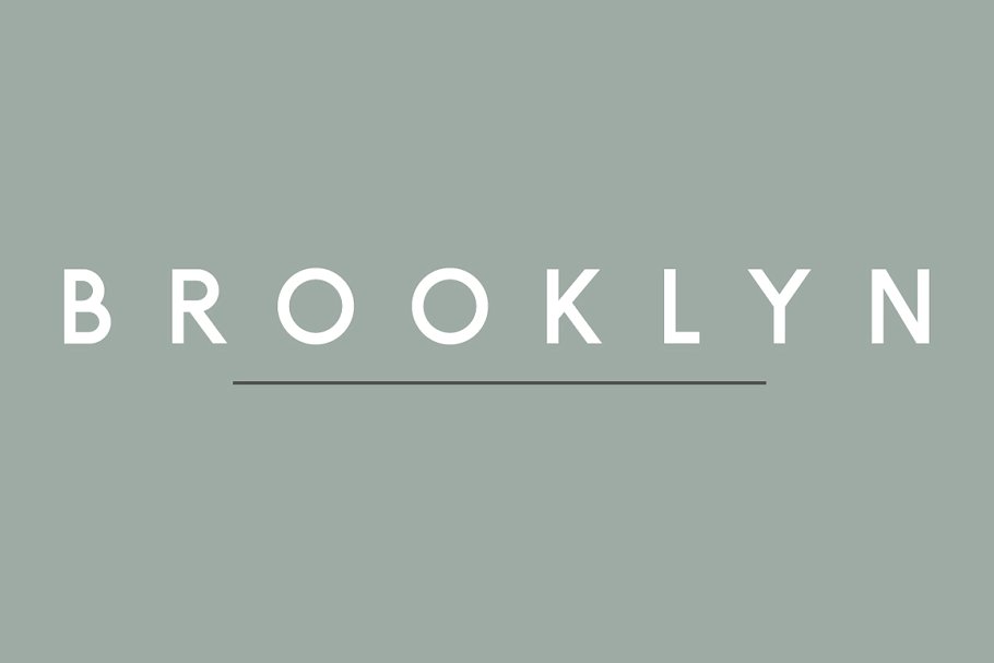 正体适合书面印刷排版的无衬线英文字体 Brooklyn | Two Weight Font Family