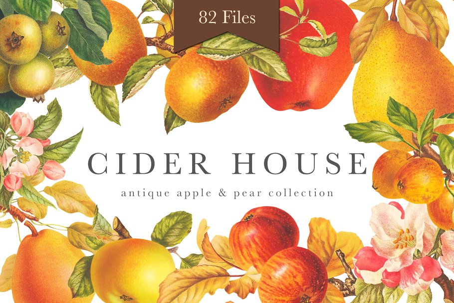 旧书水果插画素材集 Cider House Apple & Pear Graphics