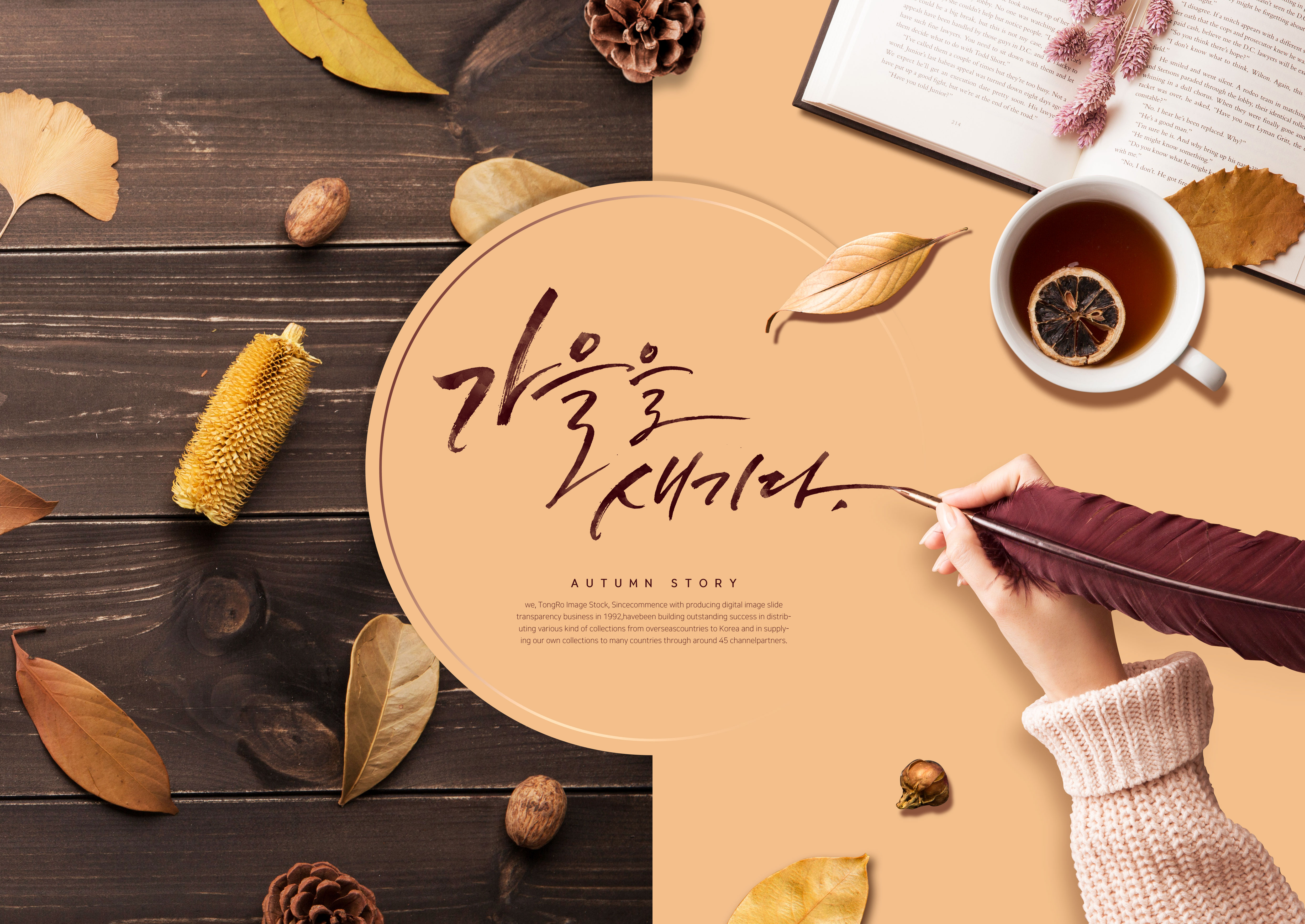 秋季落叶主题海报模板套装[PSD]