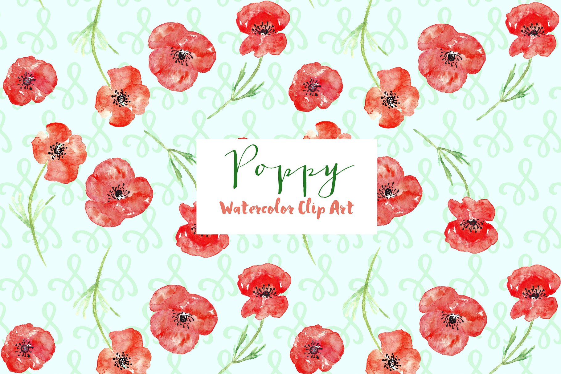 手绘罂粟水彩剪贴画Poppy watercolor Clipart