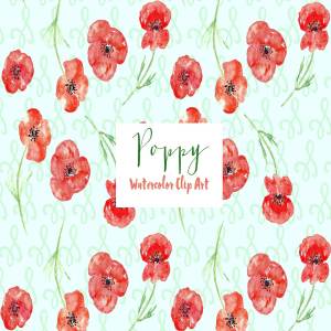 手绘罂粟水彩剪贴画Poppy watercolor Clipart