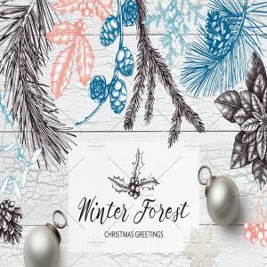 手绘冬天森林元素 Winter Forest Hand Drawn Elements