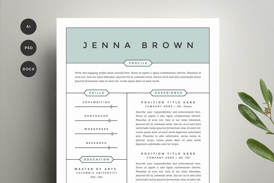 两列式经典简历模板 Resume Template 4 Pack | CV Template