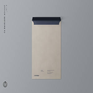 C4标准尺寸信封设计图样机 C4 Envelope Mockup
