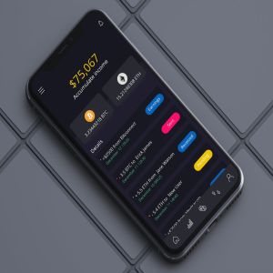 加密货币电子钱包APP应用界面模板 Cryptocurrency Wallet 6 Mobile Ui – H