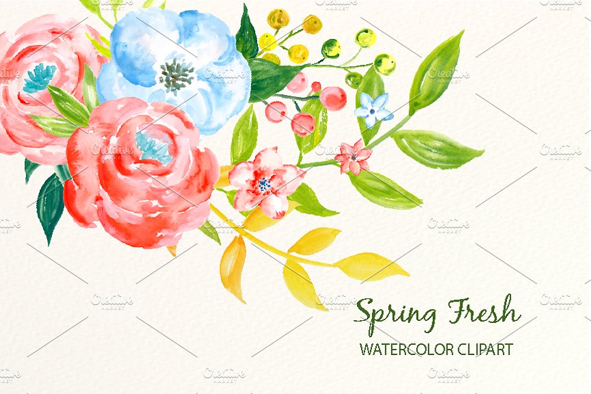 春季新鲜蓝粉色系水彩花卉插画 Watercolor Clipart Spring Fresh