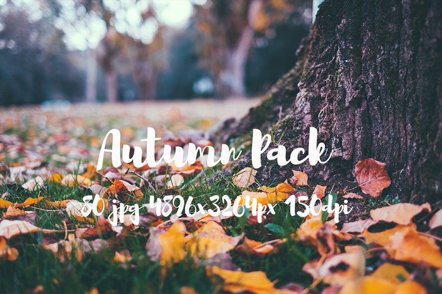 秋天主题高清风景照片素材 Autumn photo Pack