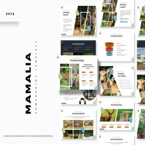 野生动物主题PPT幻灯片设计模板 Mamalia – Powerpoint Template