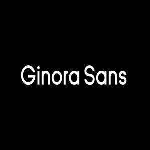 巴西设计师杰作无衬线英文字体家族 Ginora Sans Font Family