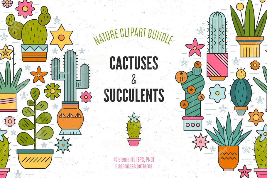 仙人掌多肉盆栽植物插画素材 Succulent Clipart & Patterns Bundle